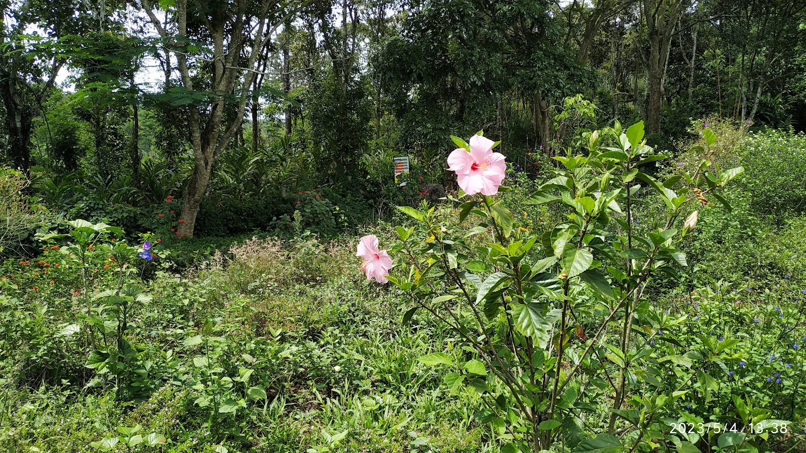 Chellarkovil View Point