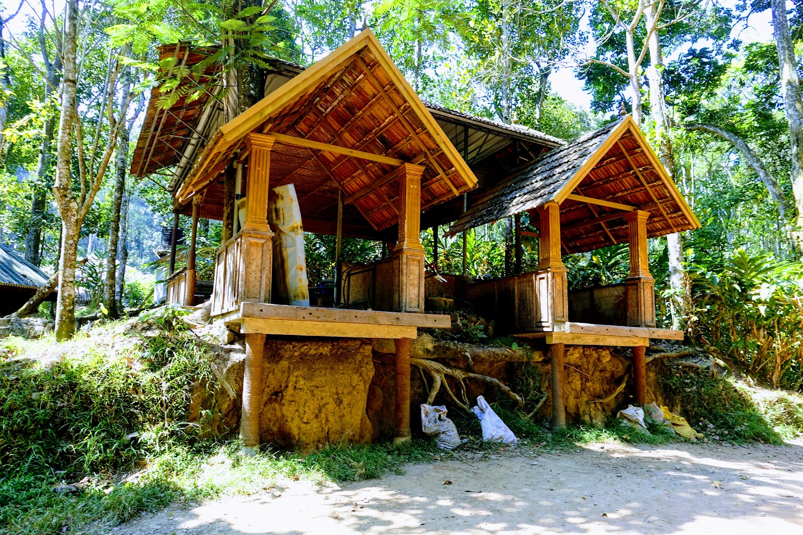 Elephant Junction Thekkady