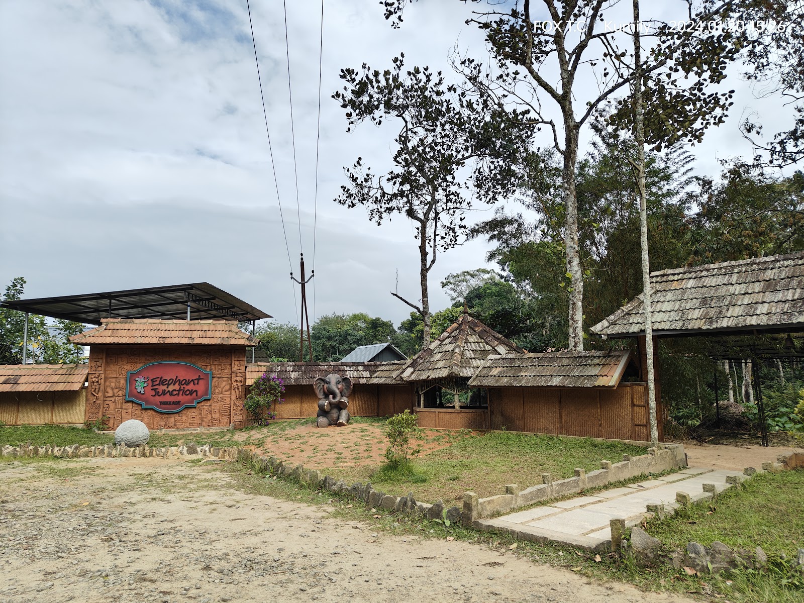 Elephant Junction Thekkady