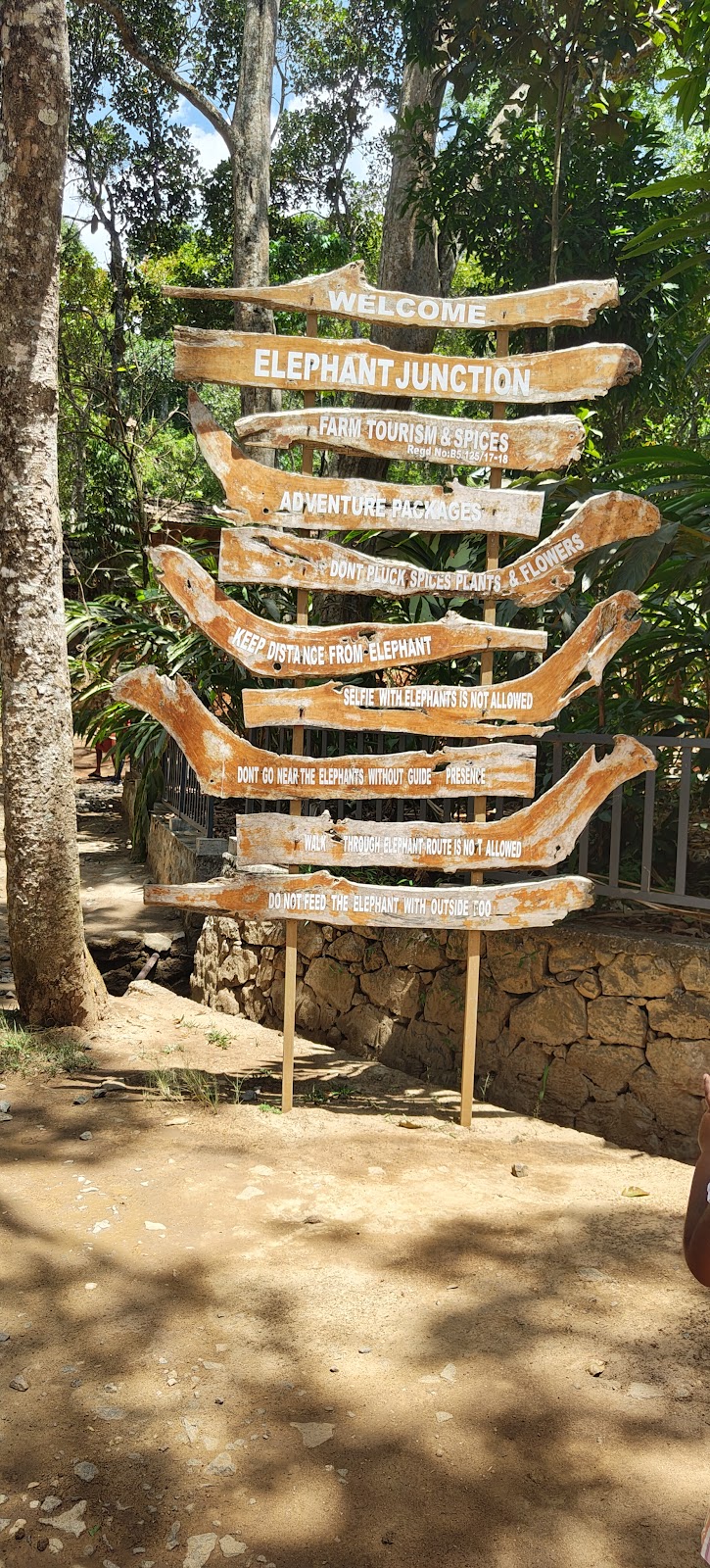 Elephant Junction Thekkady