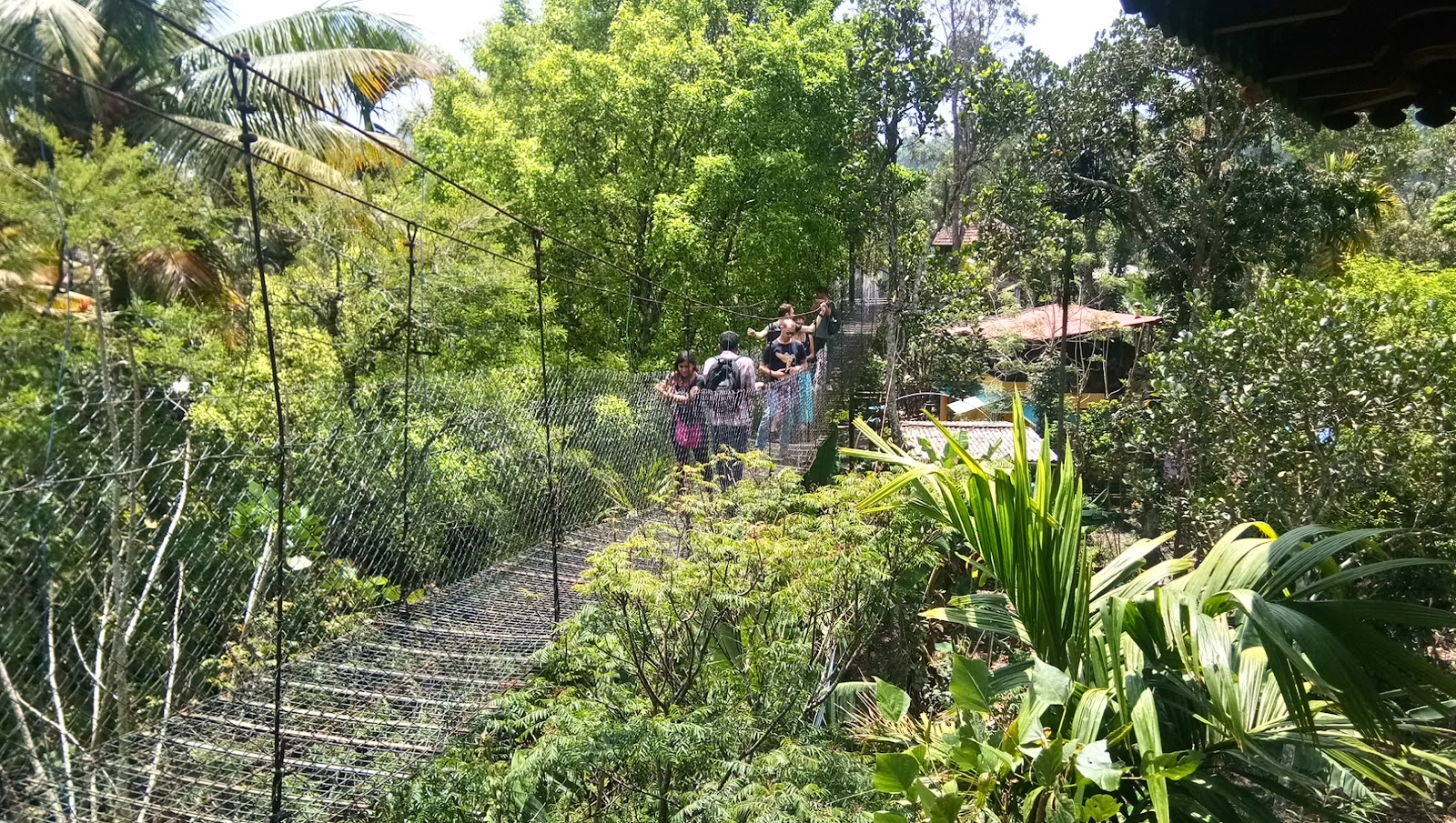 Green Park Ayurvedic and Spice Plantation