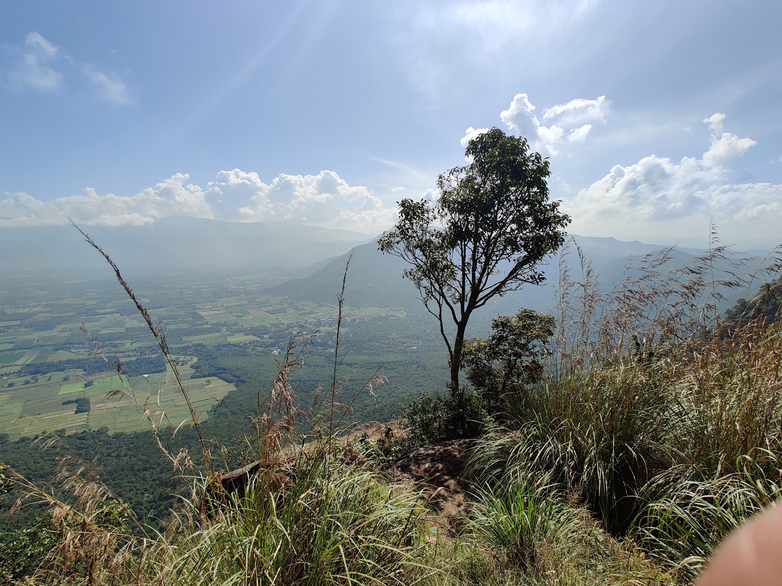 Pandikuzhi Waterfalls