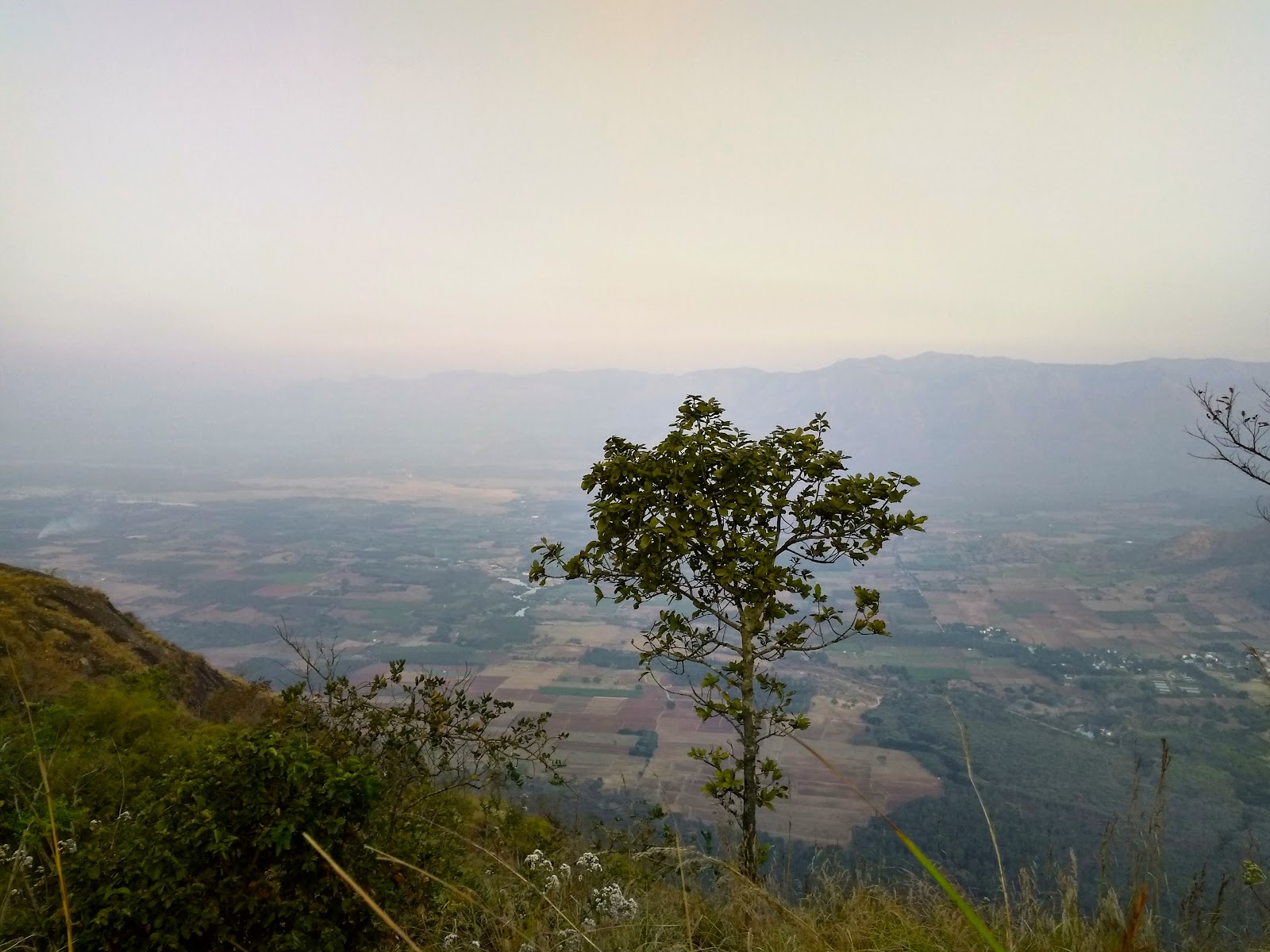 Pandikuzhi Waterfalls