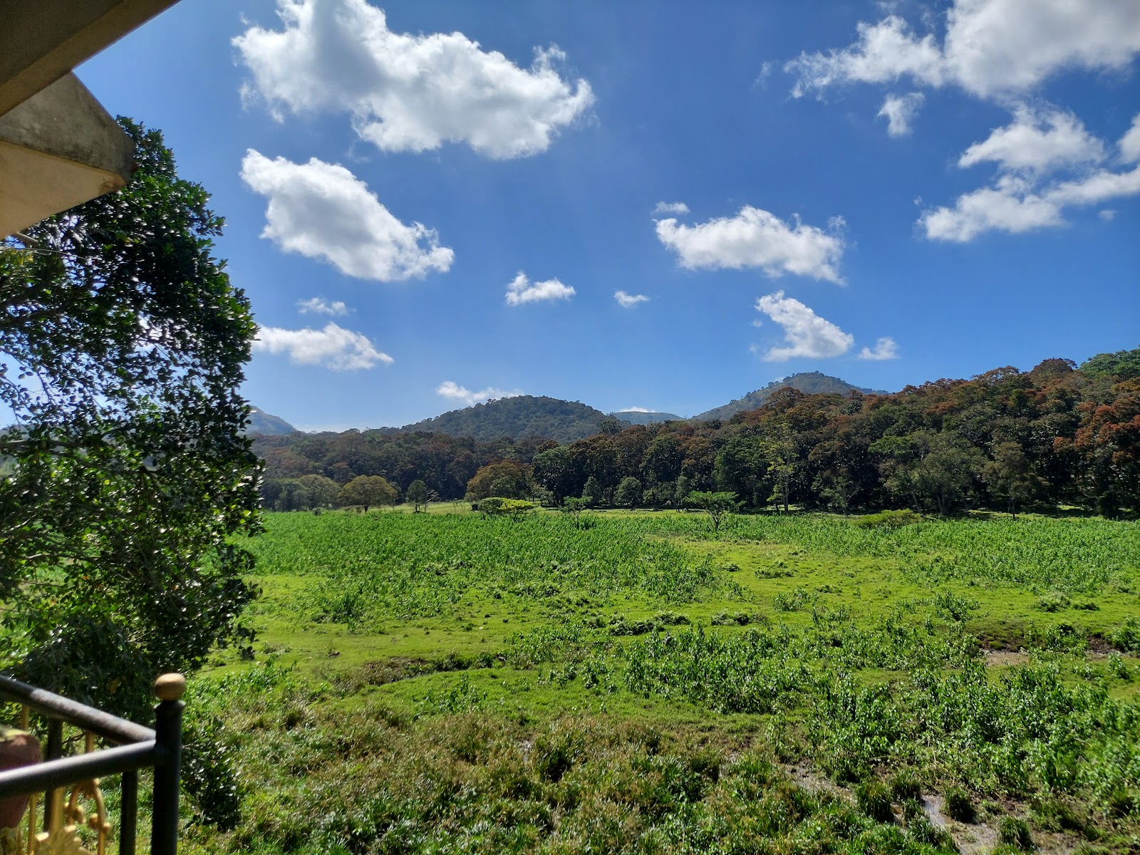 Periyar National Park