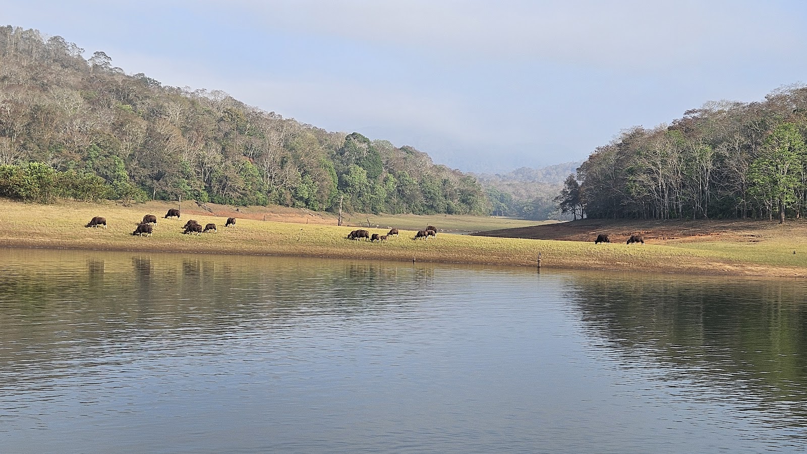 Thekkady Boating