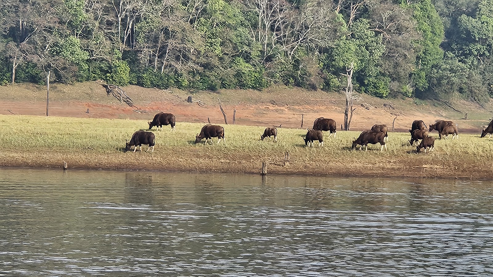 Thekkady Boating