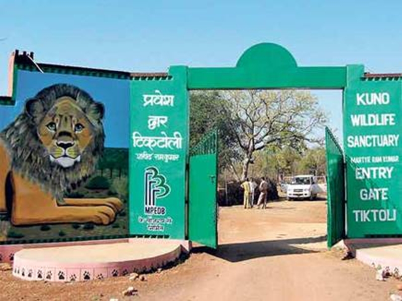 Reintroduction Project Area