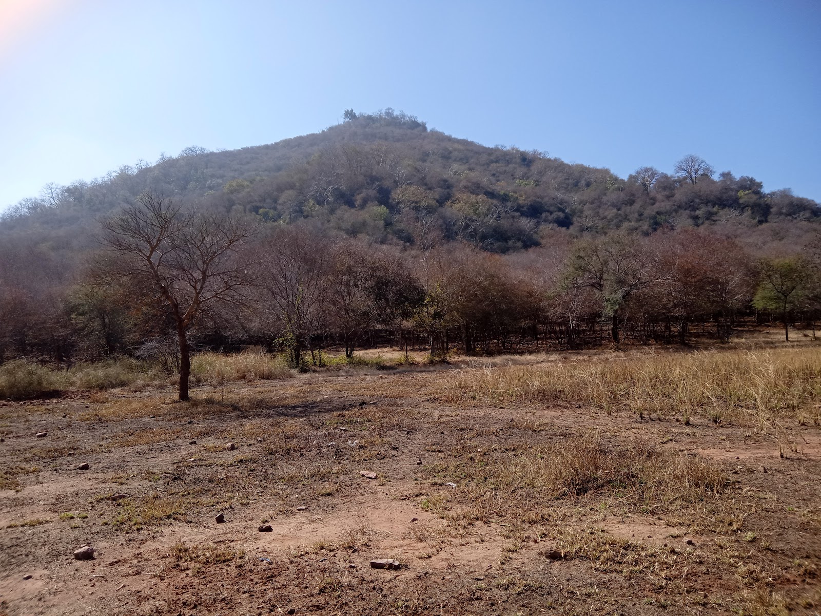 Reintroduction Project Area