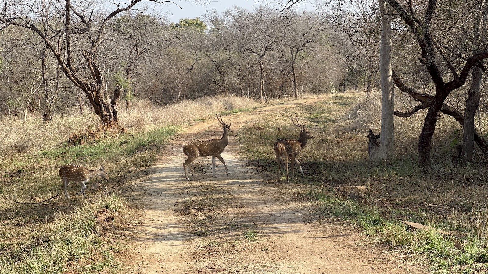 Kuno Wildlife Sanctuary Visitor Centre
