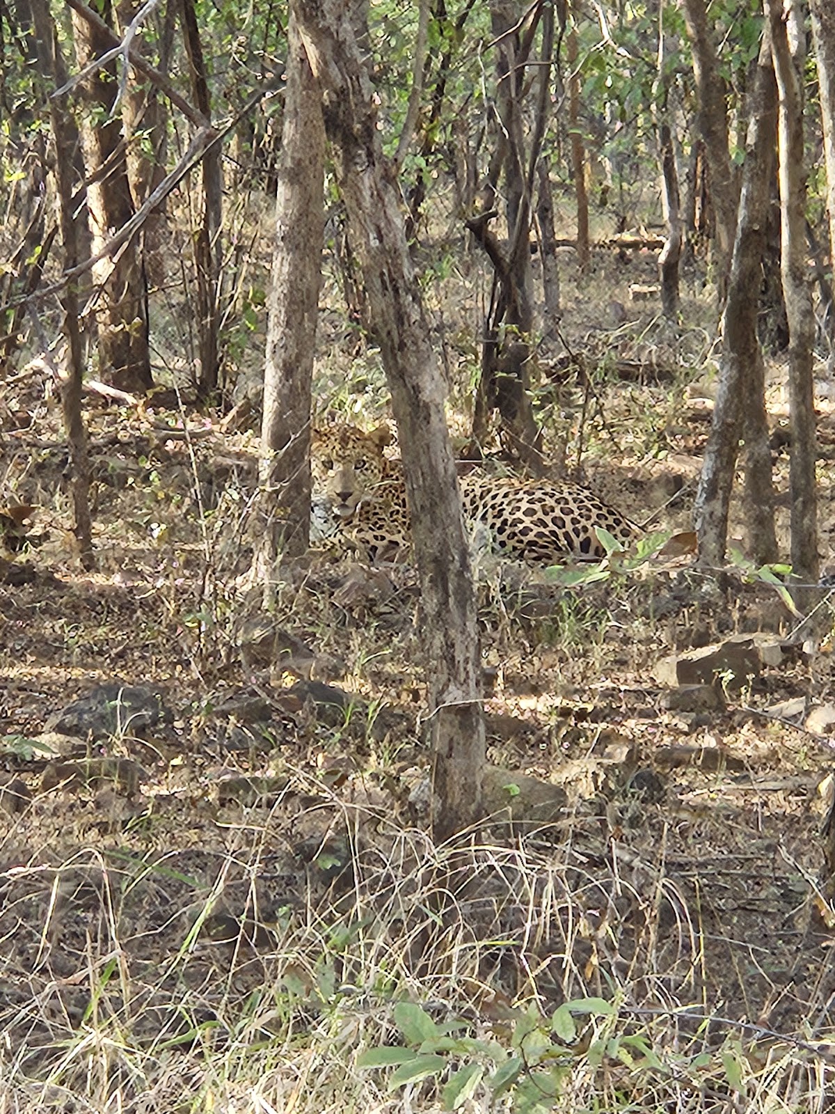 Kuno Wildlife Sanctuary Visitor Centre