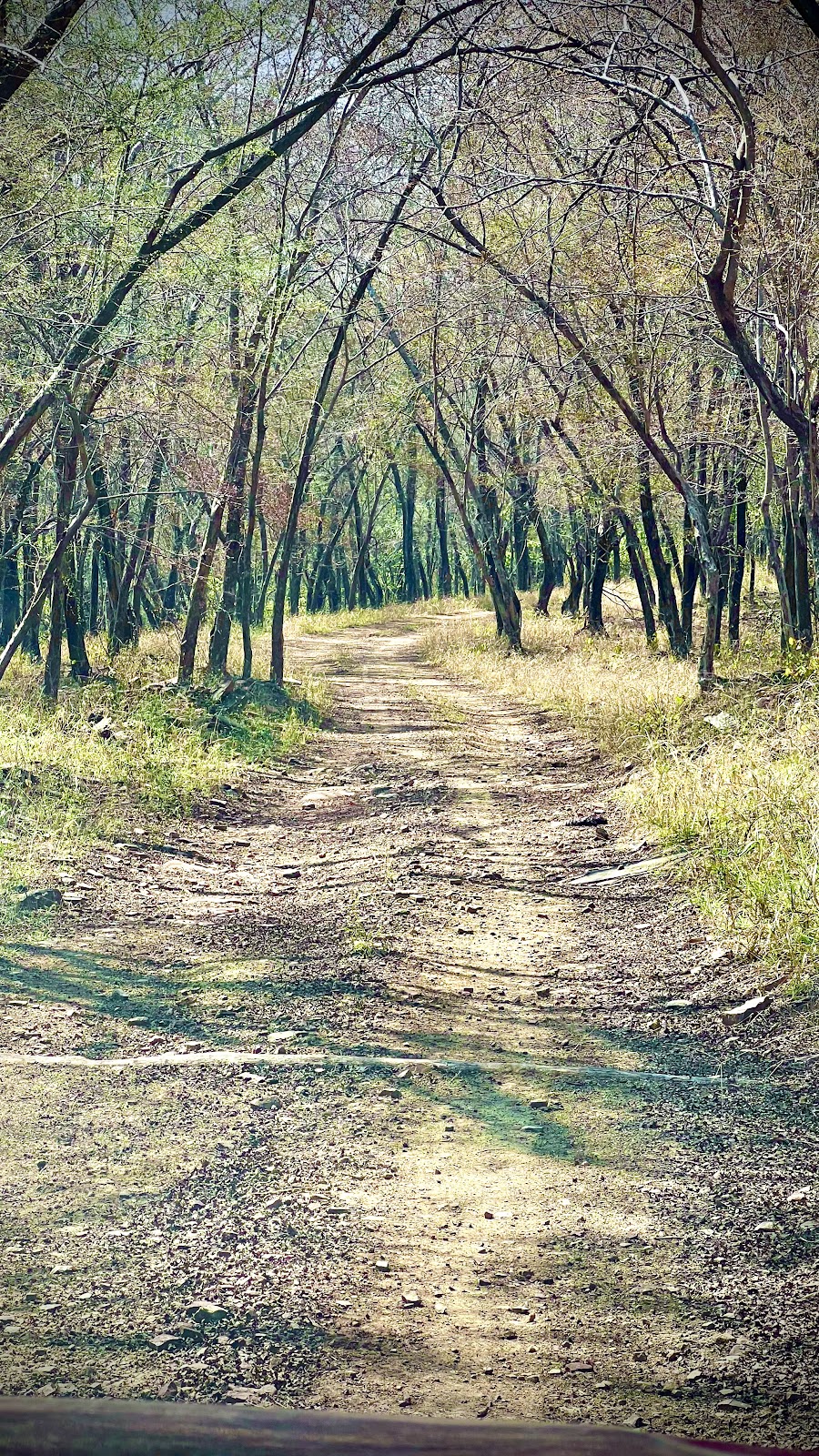 Kuno Wildlife Sanctuary Visitor Centre