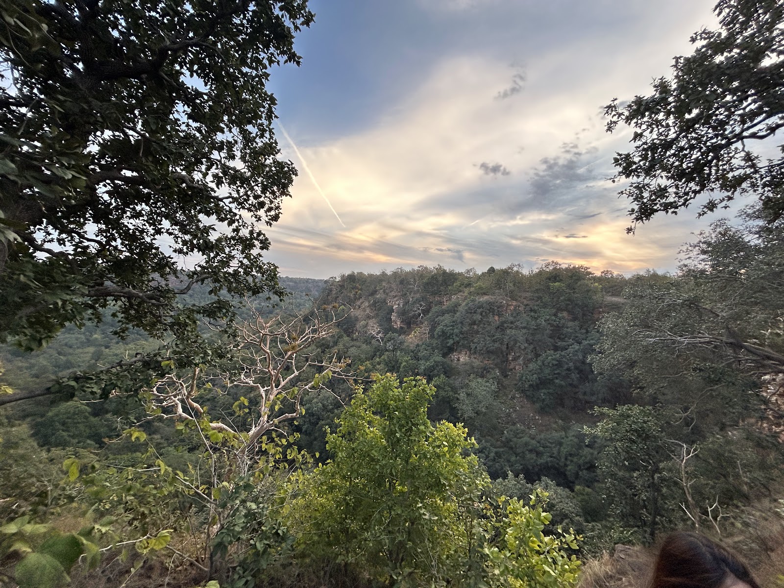 Riverine Birdwatching Point
