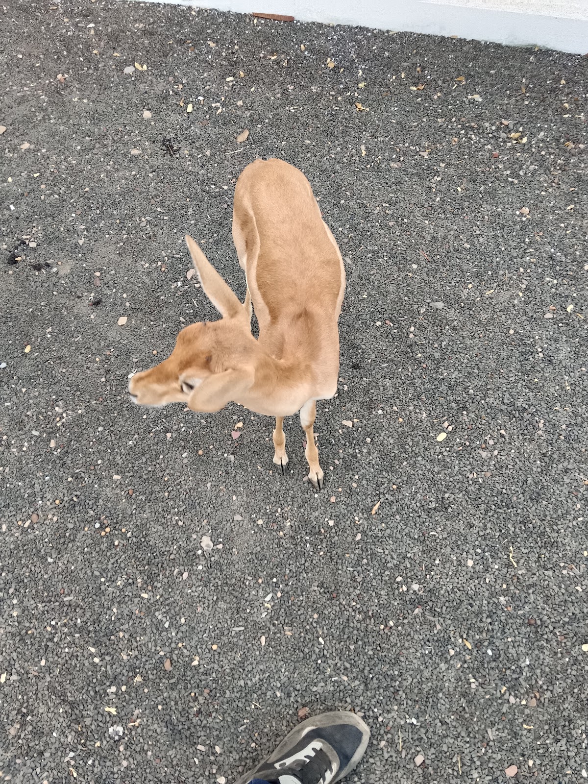 Sunset Hill Viewpoint