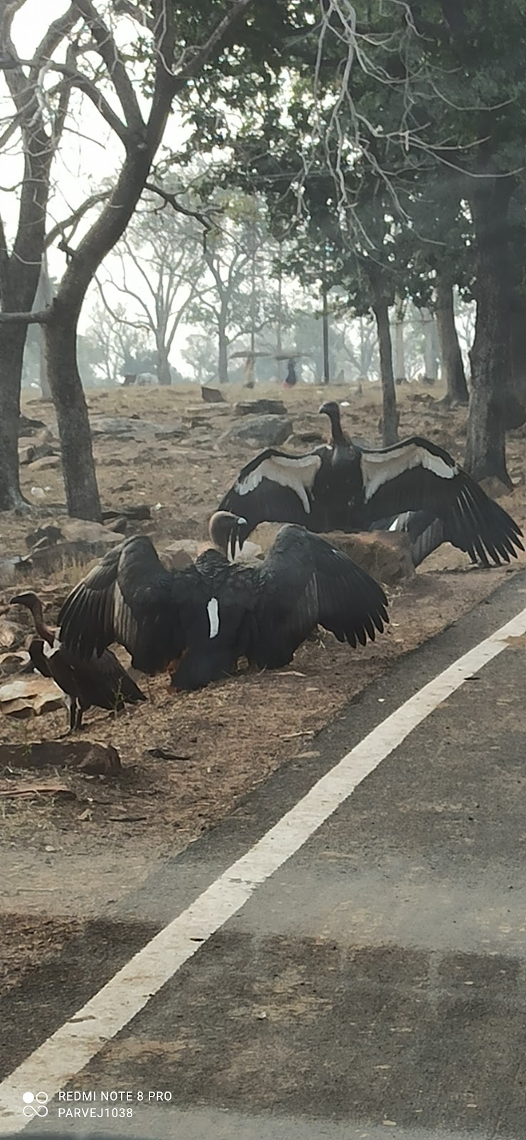 Sunset Hill Viewpoint