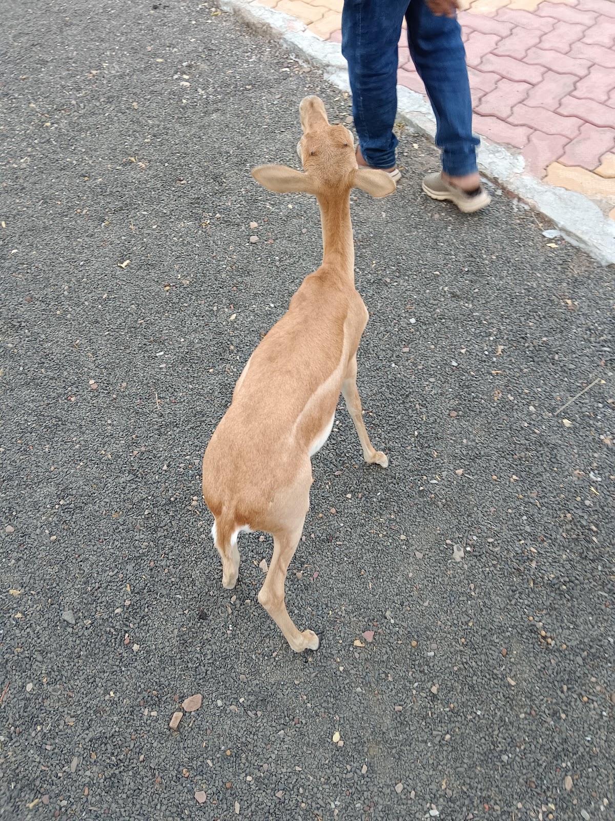 Sunset Hill Viewpoint