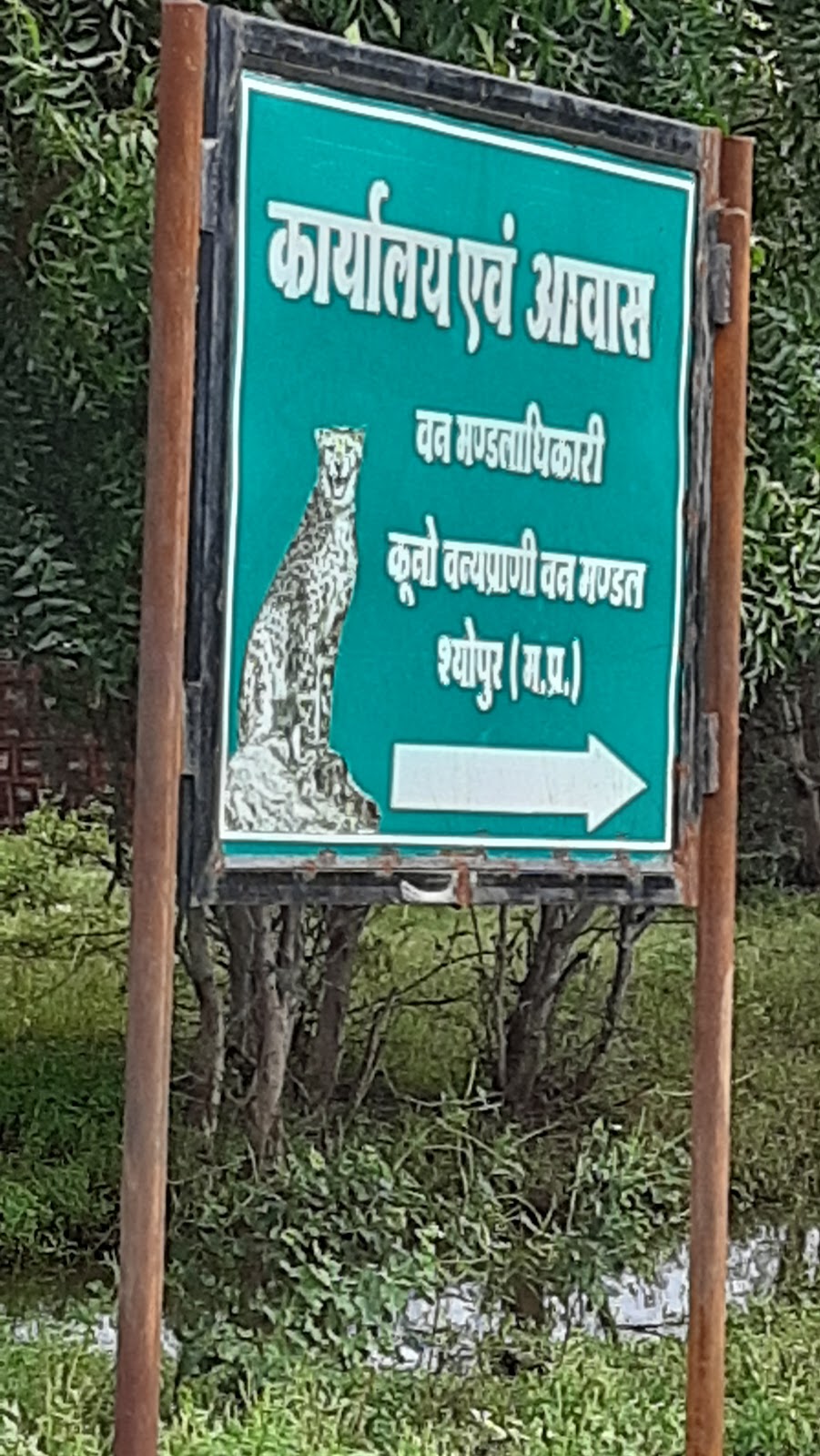 Sunset Hill Viewpoint