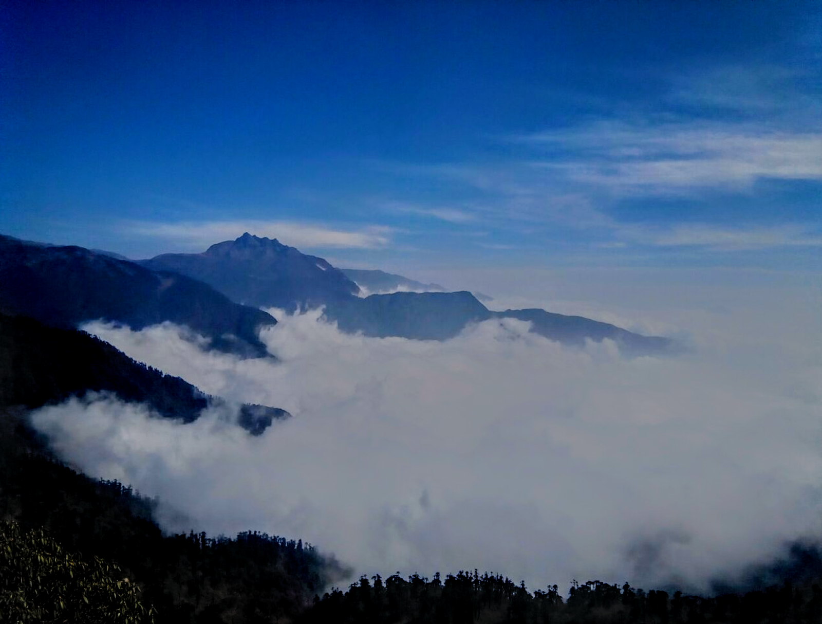 Kupup Meadows Viewpoint