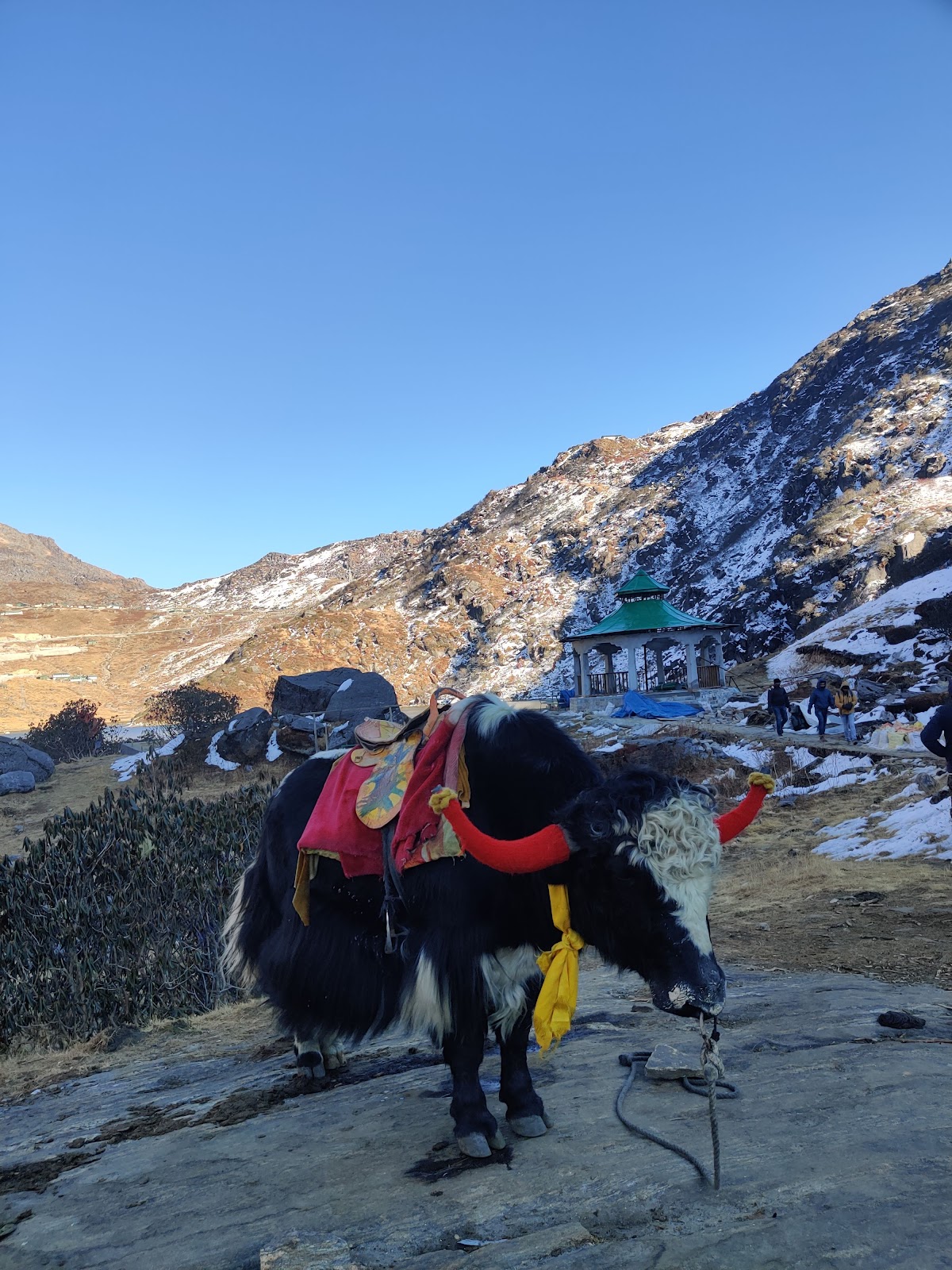 Tsomgo Lake Changu Lake