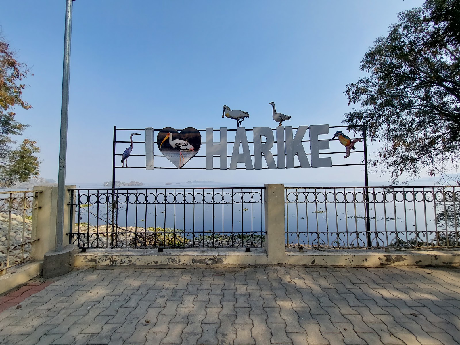 Harike Wetland and Bird Sanctuary