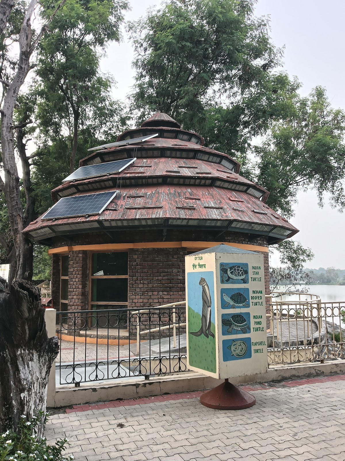 Harike Wetland and Bird Sanctuary