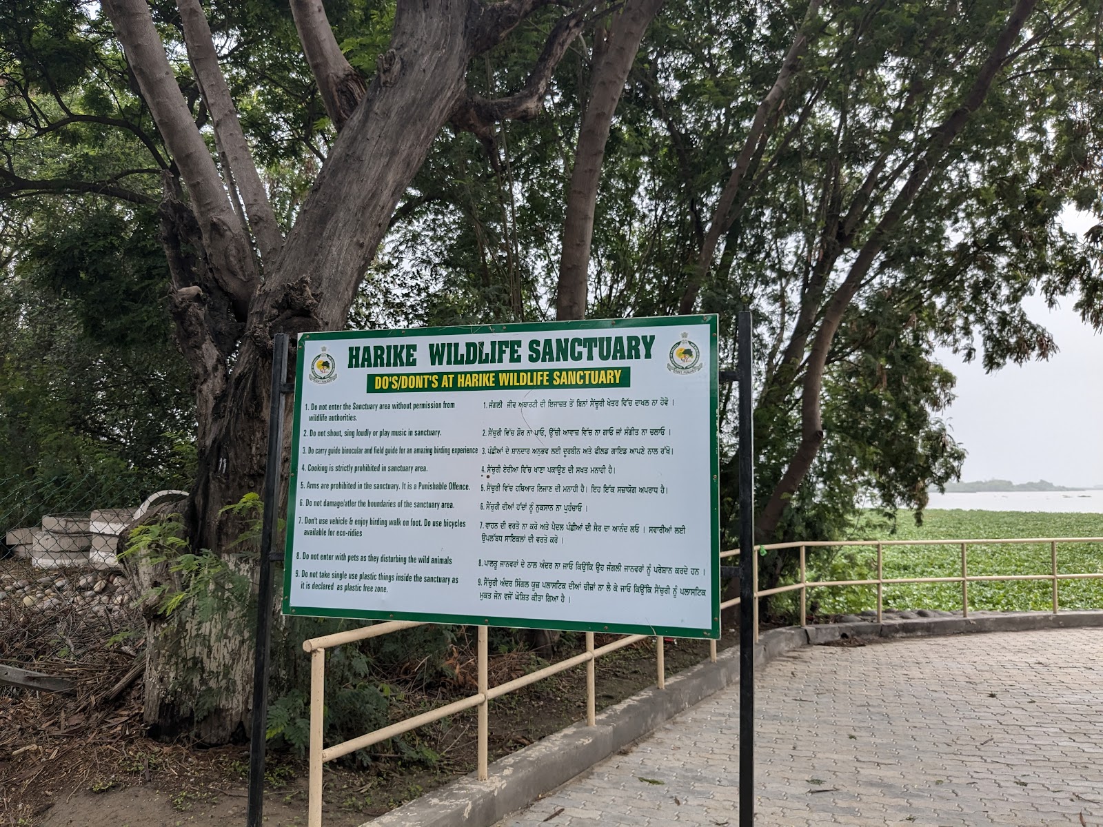 Harike Wetland and Bird Sanctuary