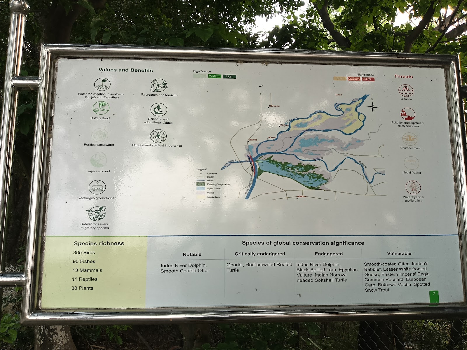 Harike Wetland and Bird Sanctuary