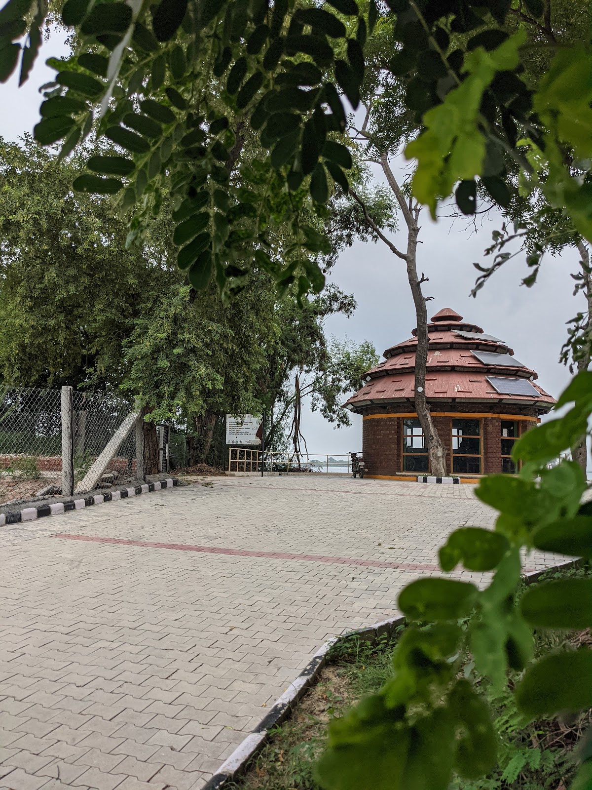 Harike Wetland and Bird Sanctuary