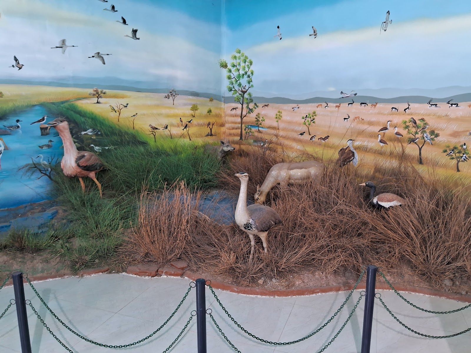 Rollapadu Wildlife Sanctuary