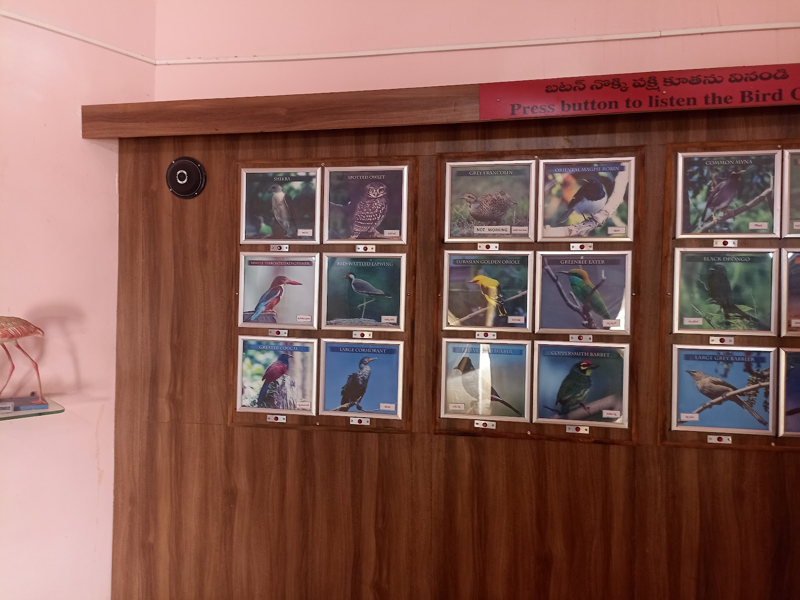 Rollapadu Wildlife Sanctuary