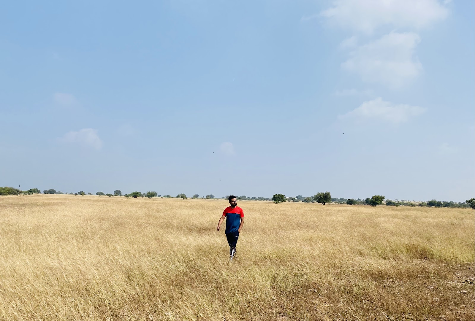 Rollapadu Wildlife Sanctuary