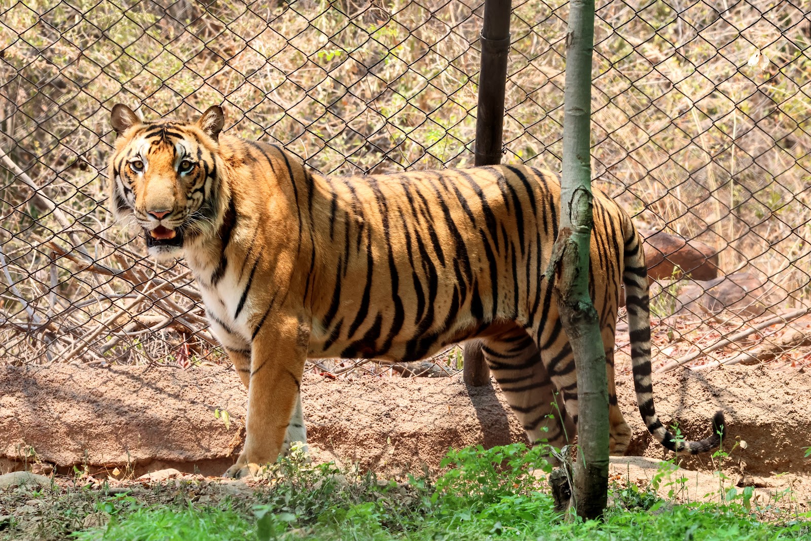 Sri Venkateswara Zoological Park