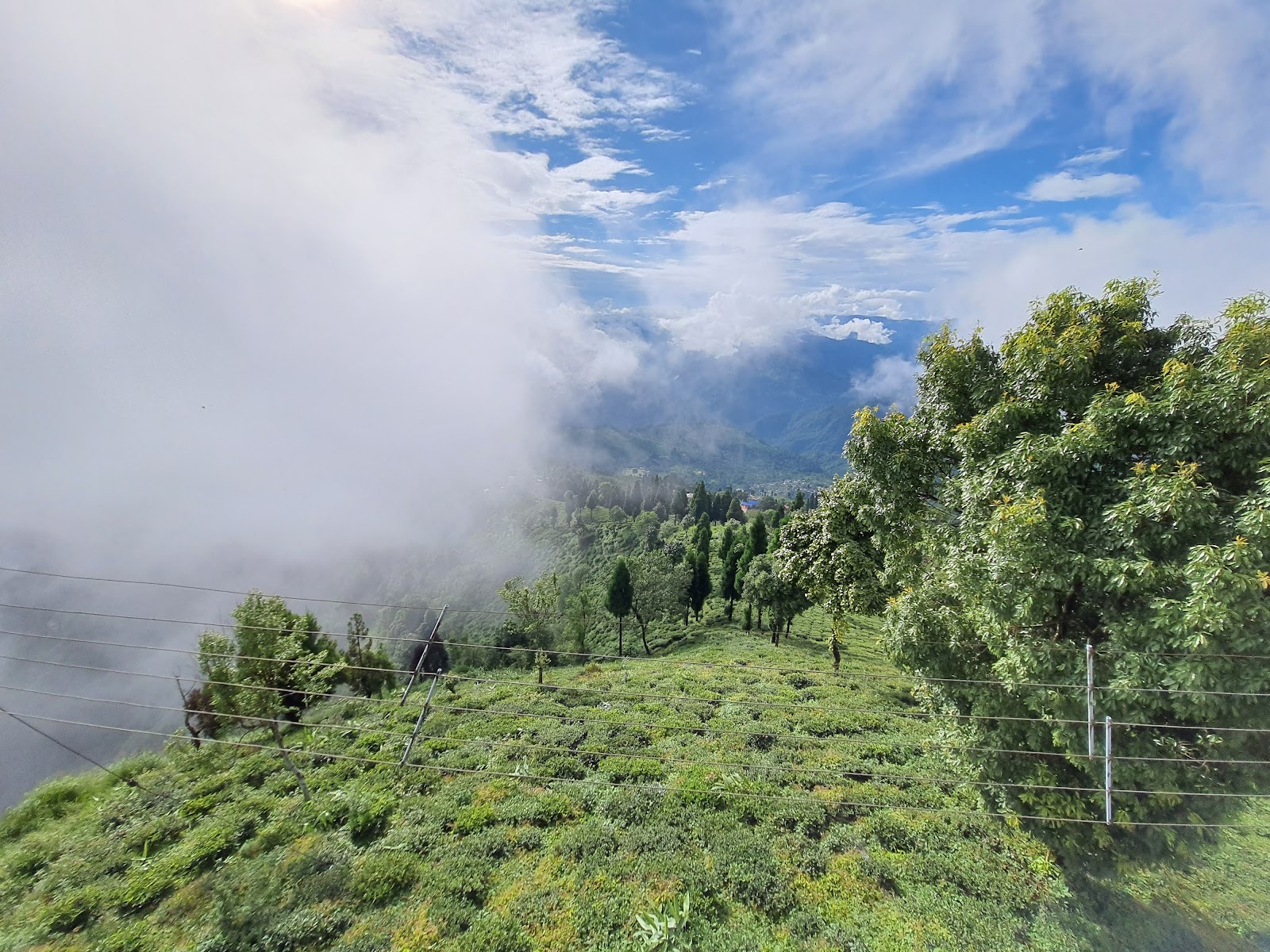 Kurseong Heritage Walk