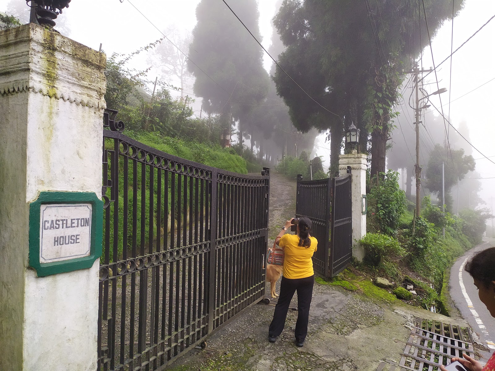 Kurseong Tea Garden