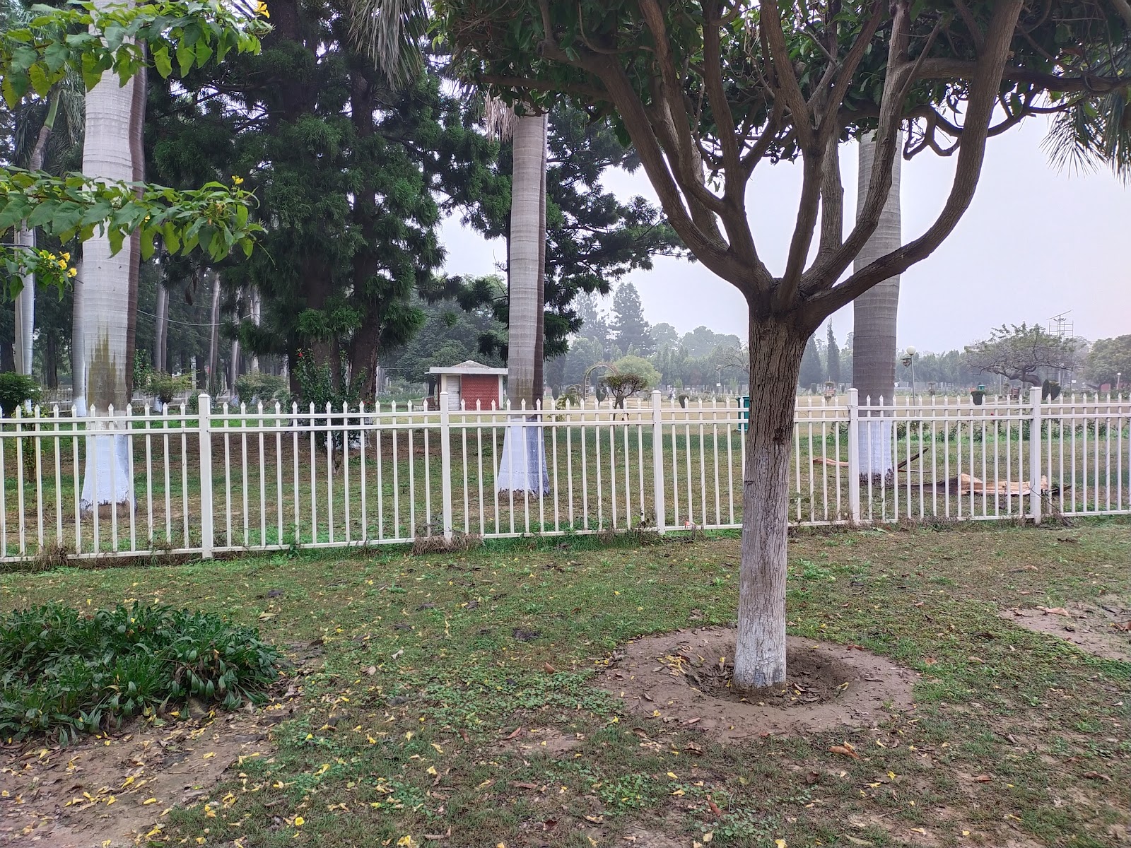 Kurukshetra University