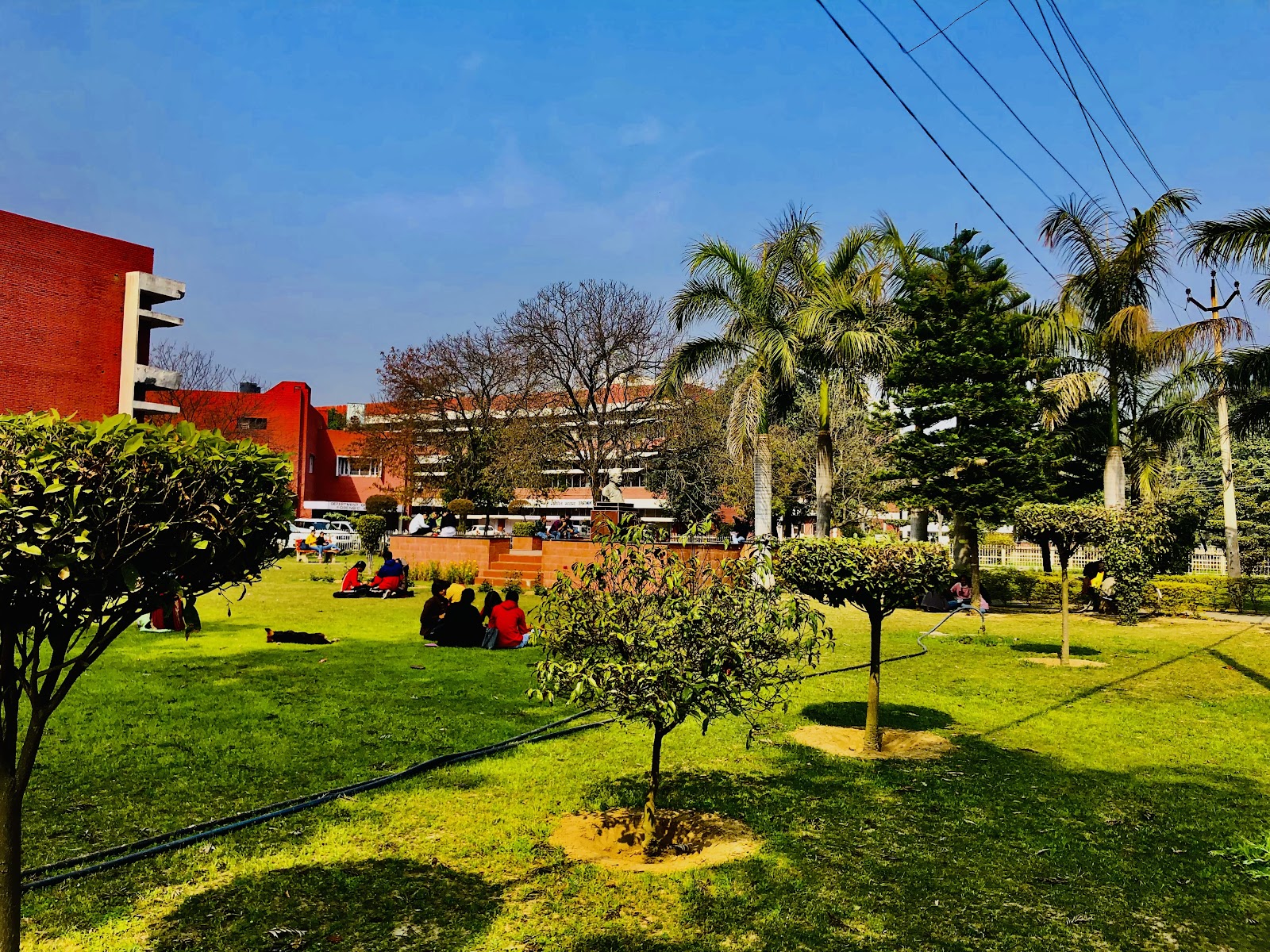 Kurukshetra University