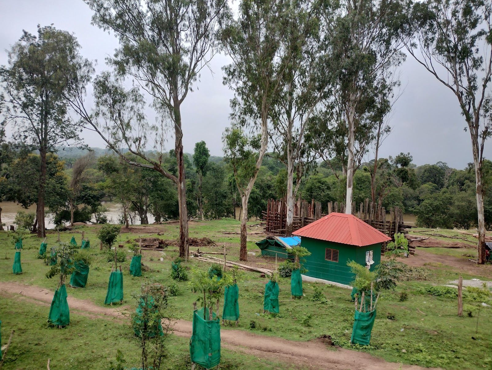 Dubare Elephant Camp