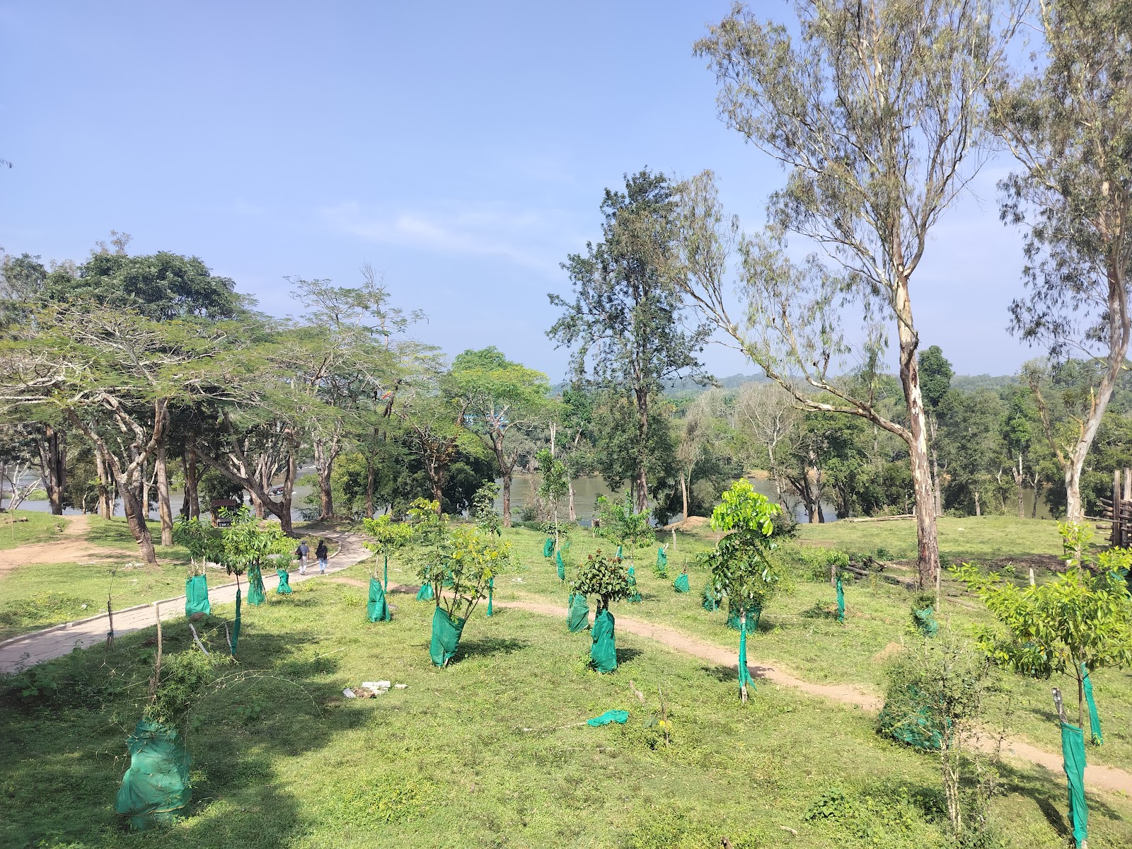 Dubare Elephant Camp