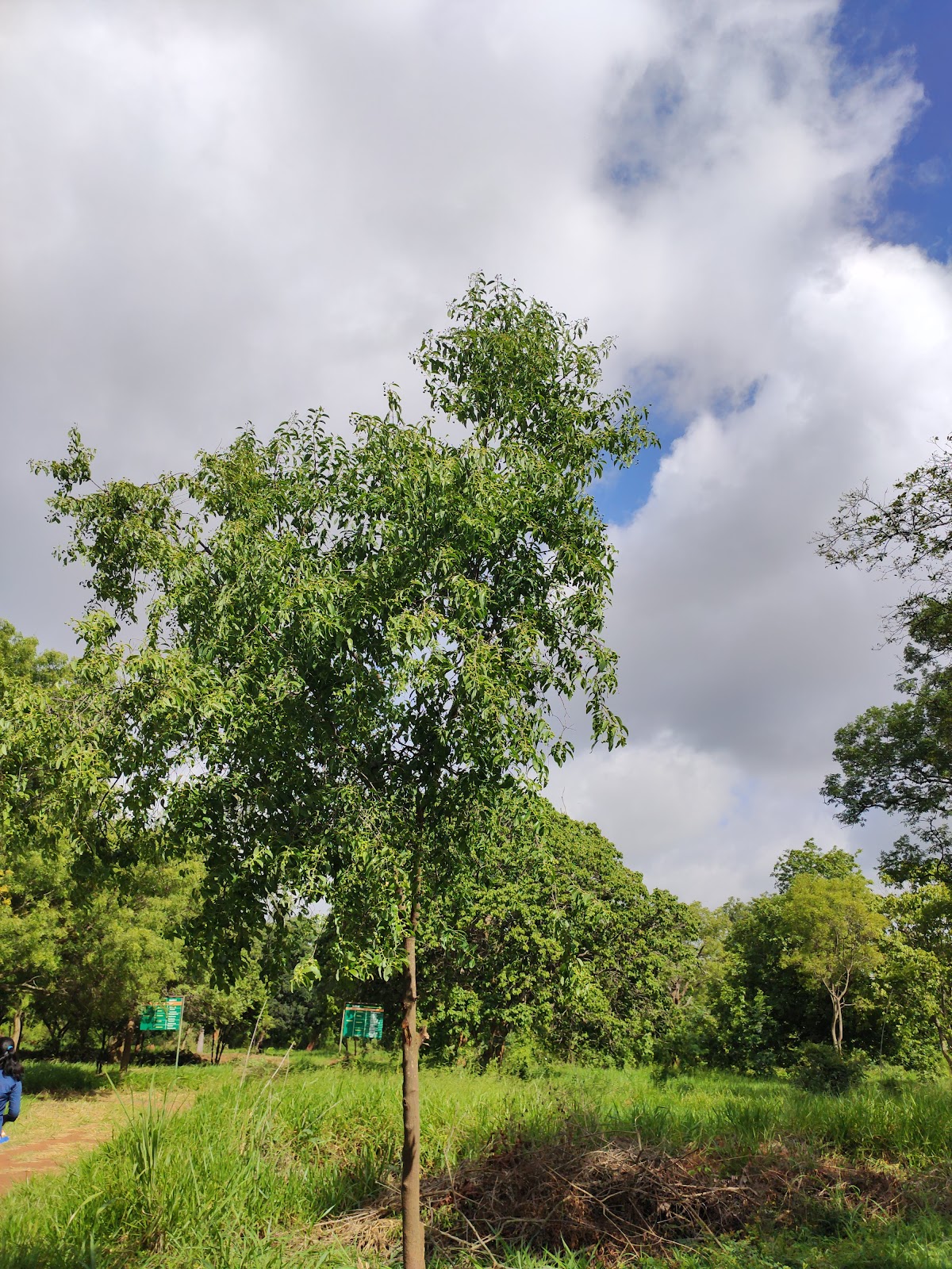 Botanical Garden