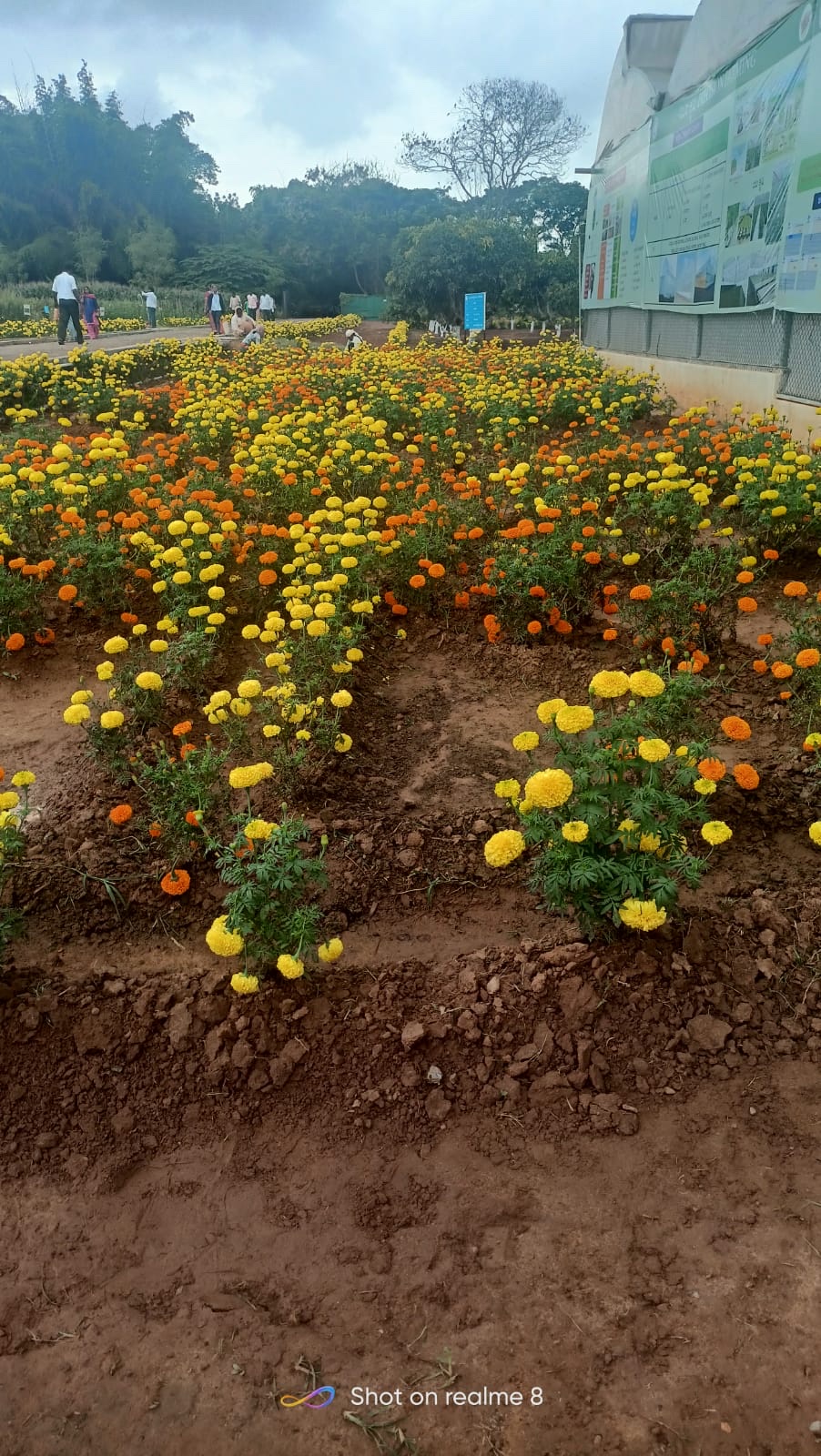 Botanical Garden