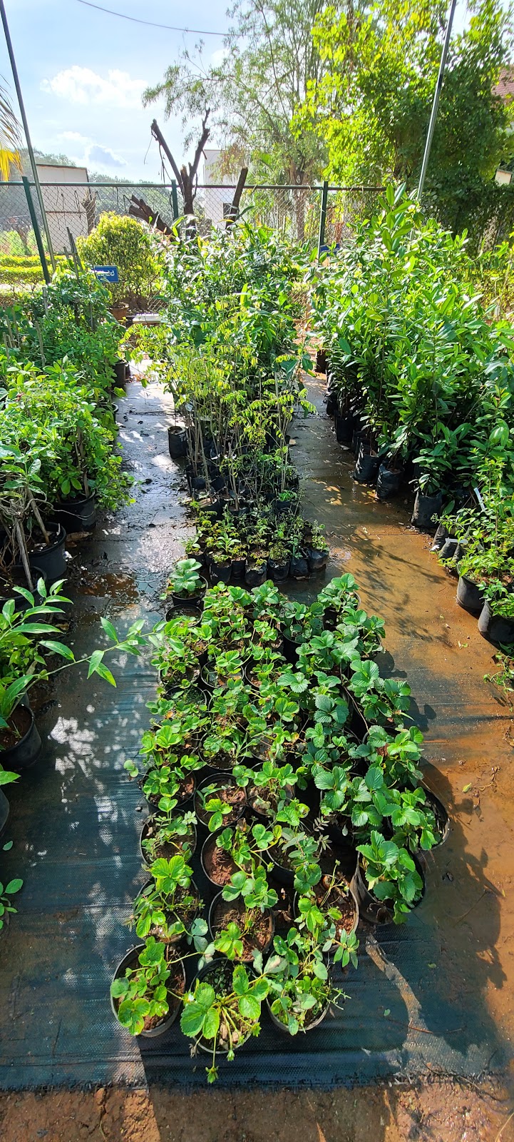 Botanical Garden