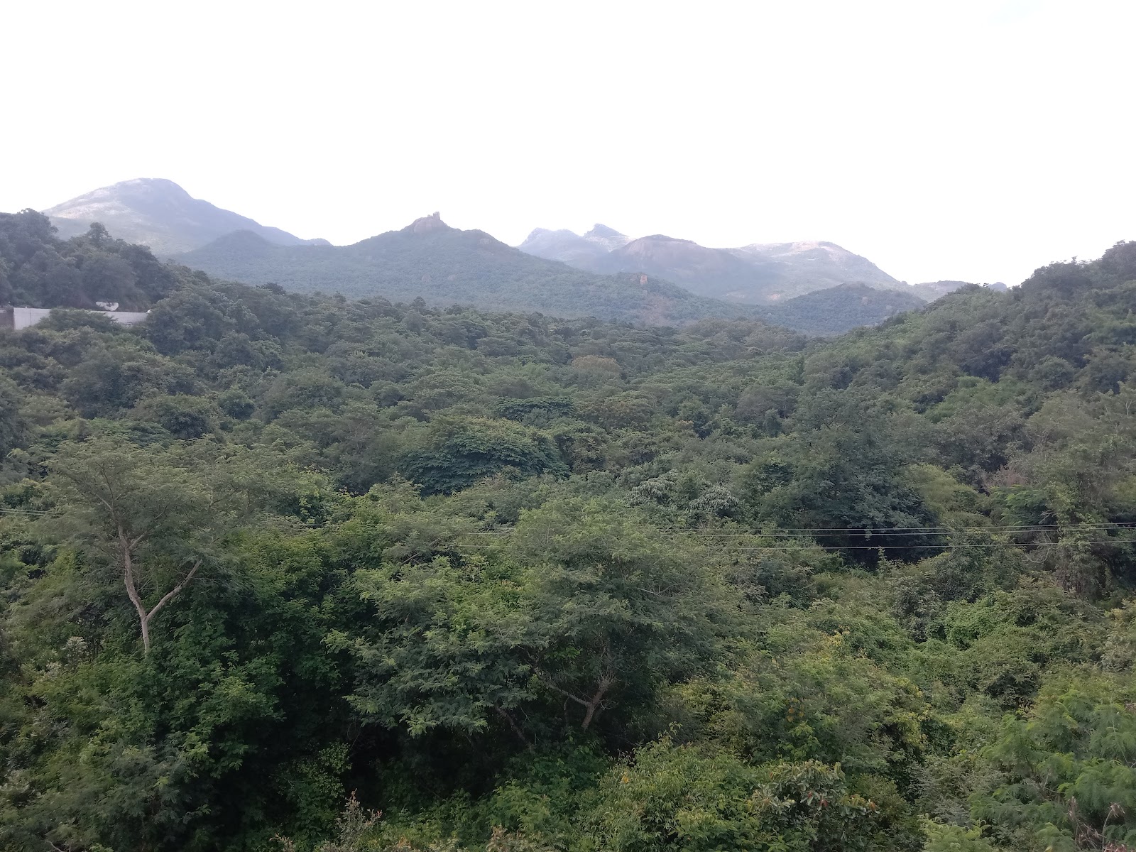Hill View Point