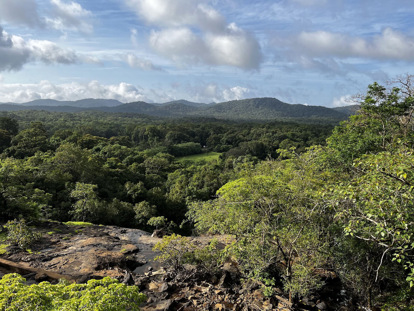 Nature Park