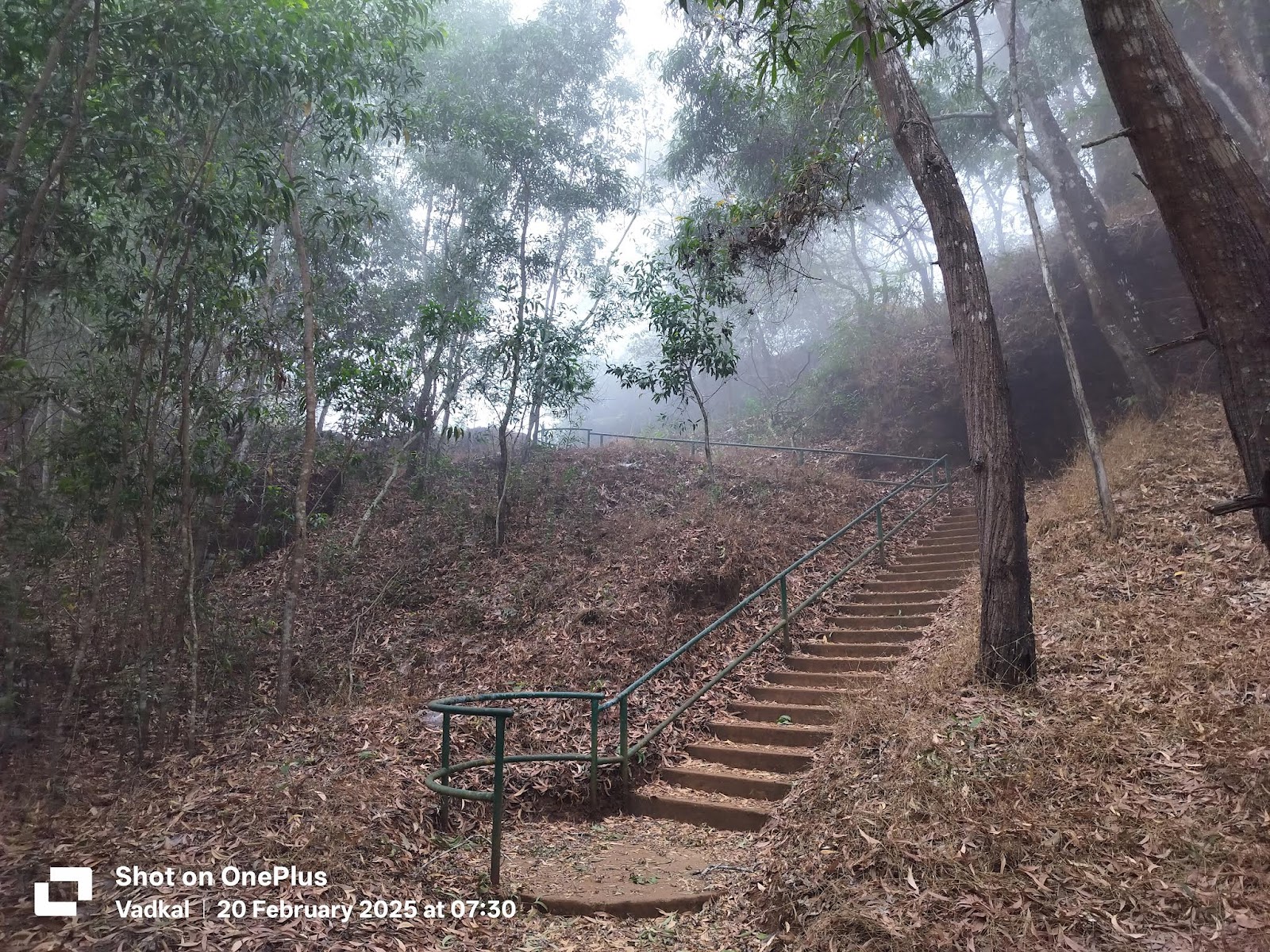 Nature Park