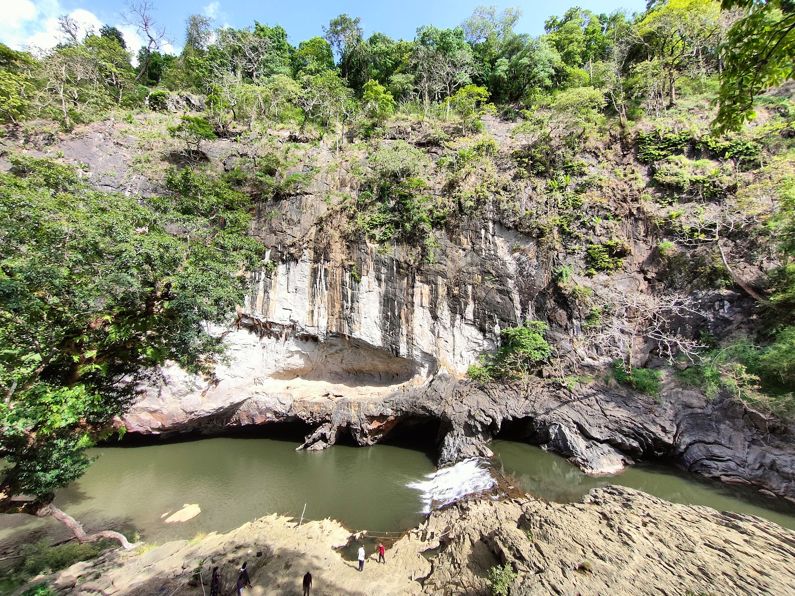 Nature Park