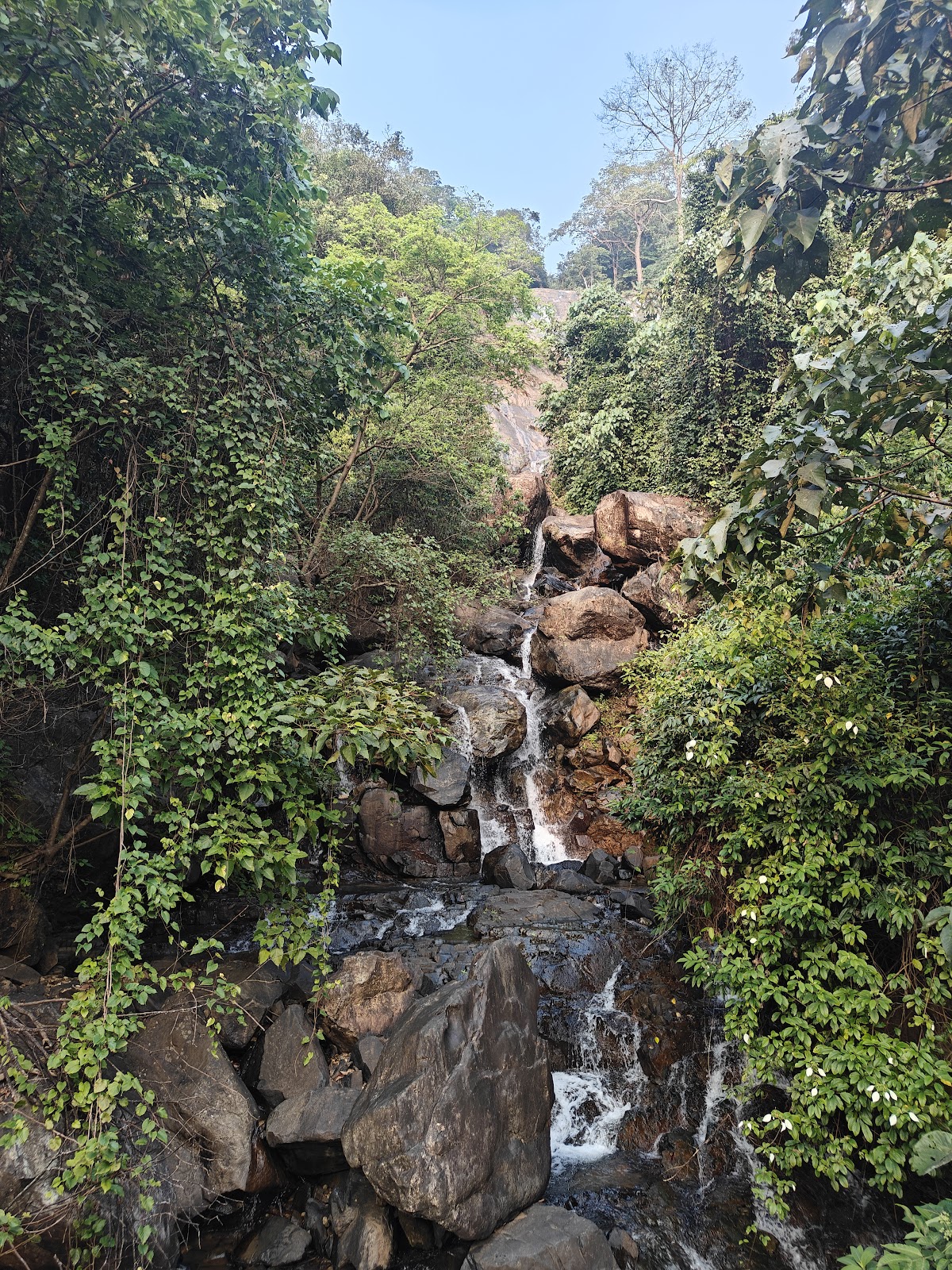 Nature Park