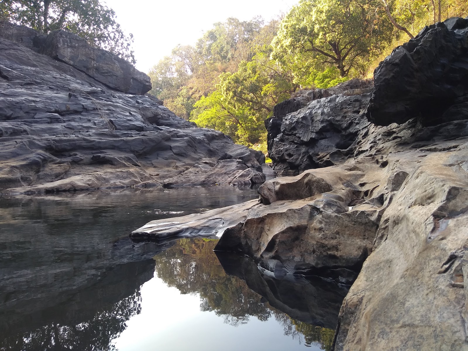 Nature Park