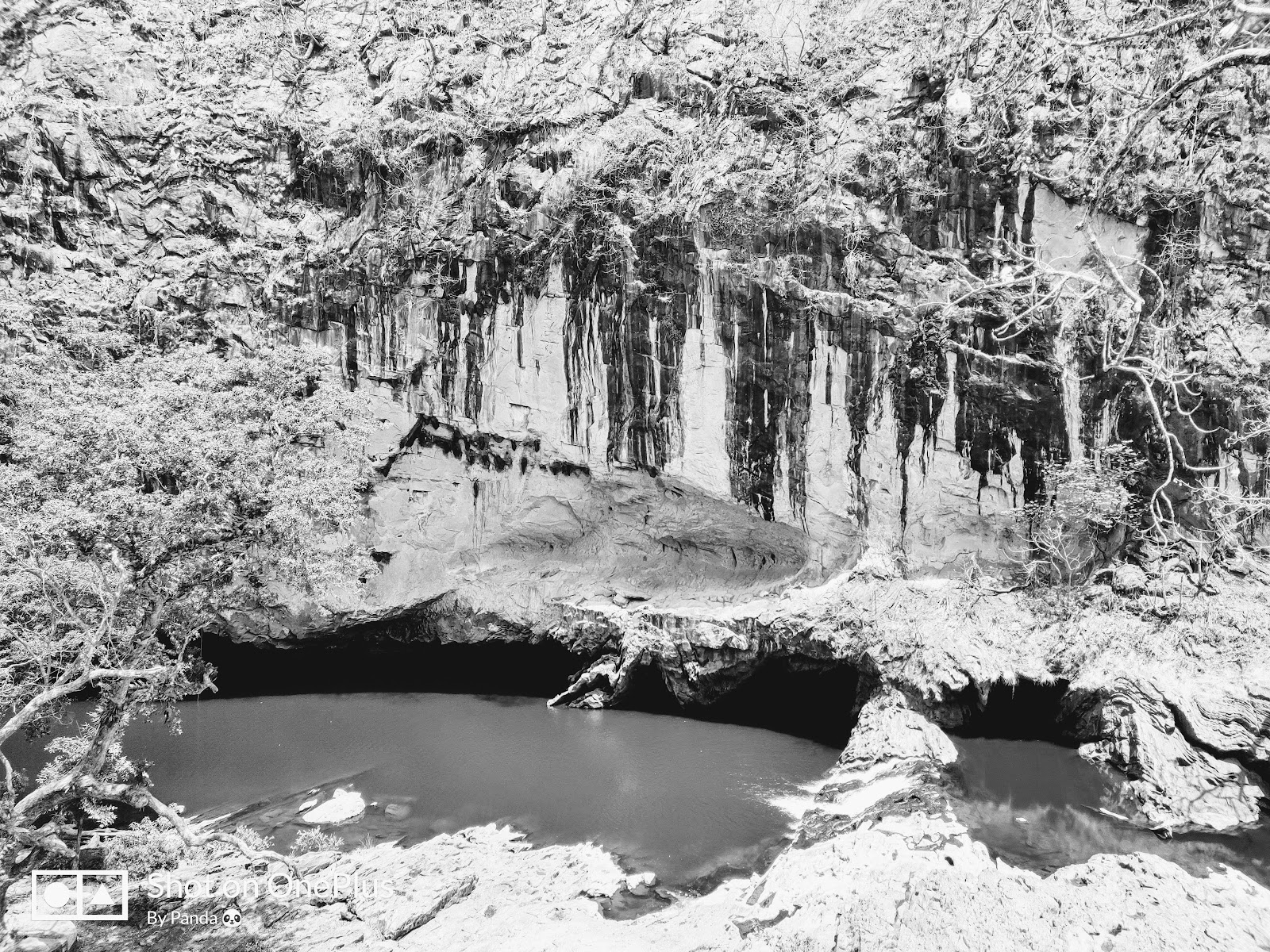 Nature Park