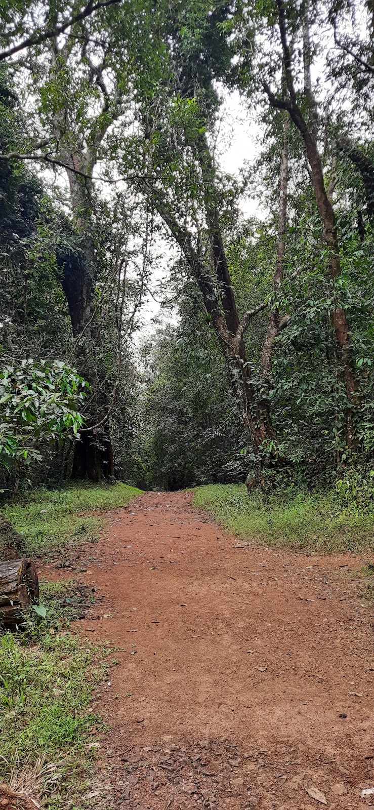 Waterfall Trek