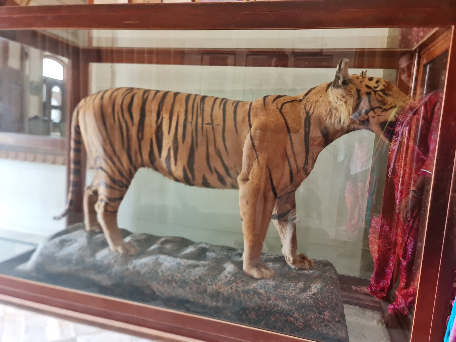 Vijay Vilas Palace Mandvi