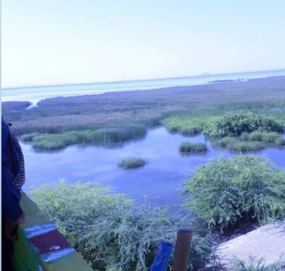 Chhari Dhandh Wetland Conservation Reserve